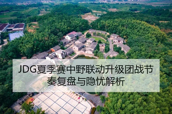 JDG夏季赛中野联动升级团战节奏复盘与隐忧解析